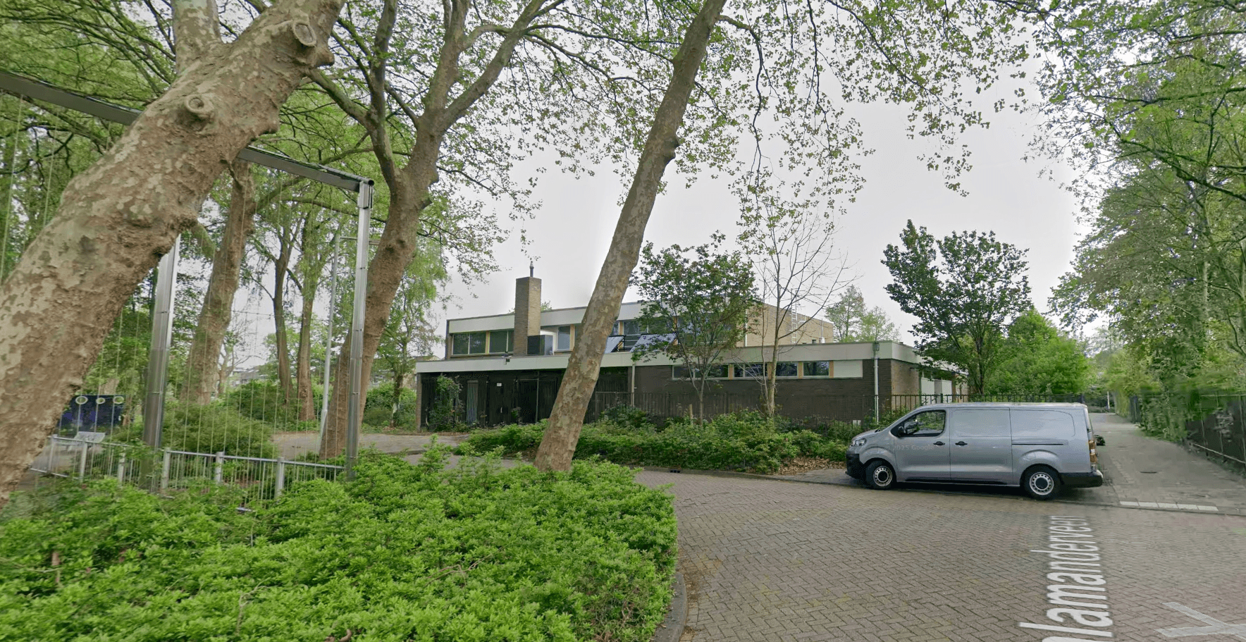 Salamanderveen